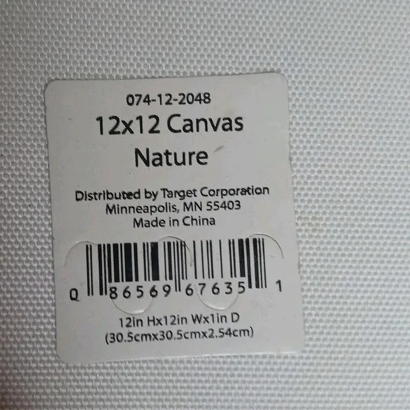 Owl Bird Picture Print Canvas Frame 12x12 Hope Smith - Picture 4 of 5